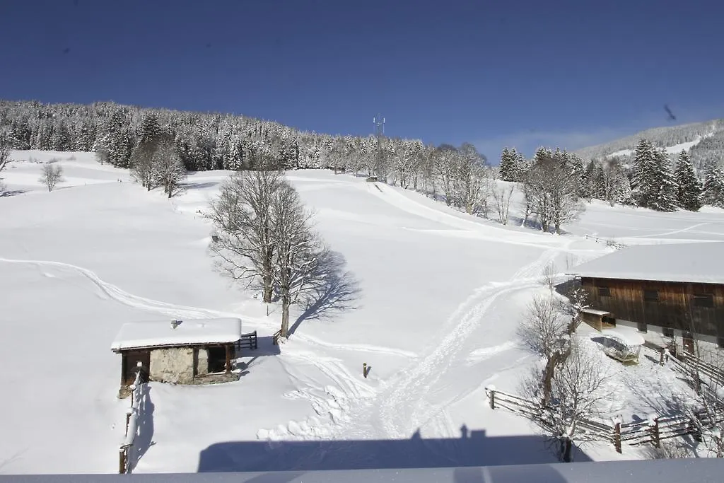 Eberharthof Apartment Saalbach-Hinterglemm