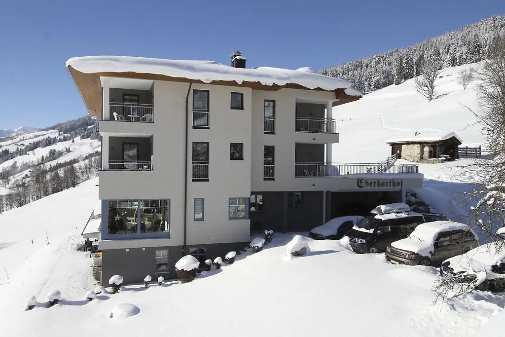 Eberharthof Apartment Saalbach-Hinterglemm